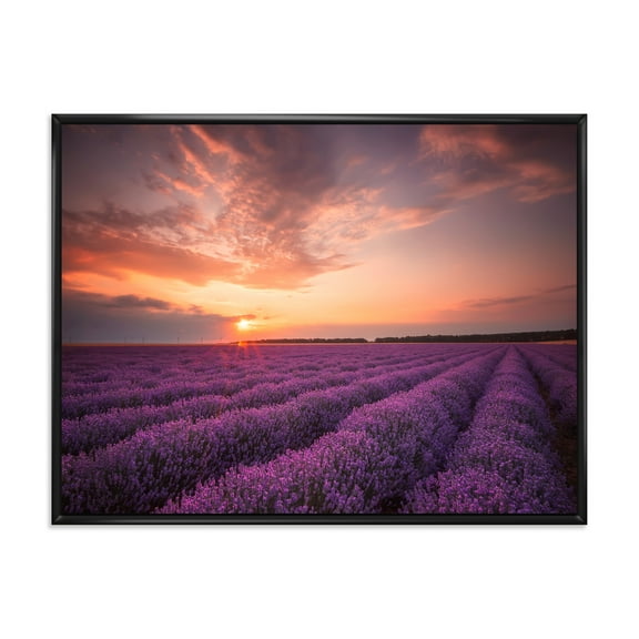 Designart 'Dramatic Clouds and Sunrise Over Lavender Field XII' Farmhouse Framed Canvas Wall Art Print