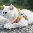 thumbnail image 5 of Welling Traction Rope Reflective Breathable Nylon Pet Vest Dog Harness for Puppy, 5 of 10