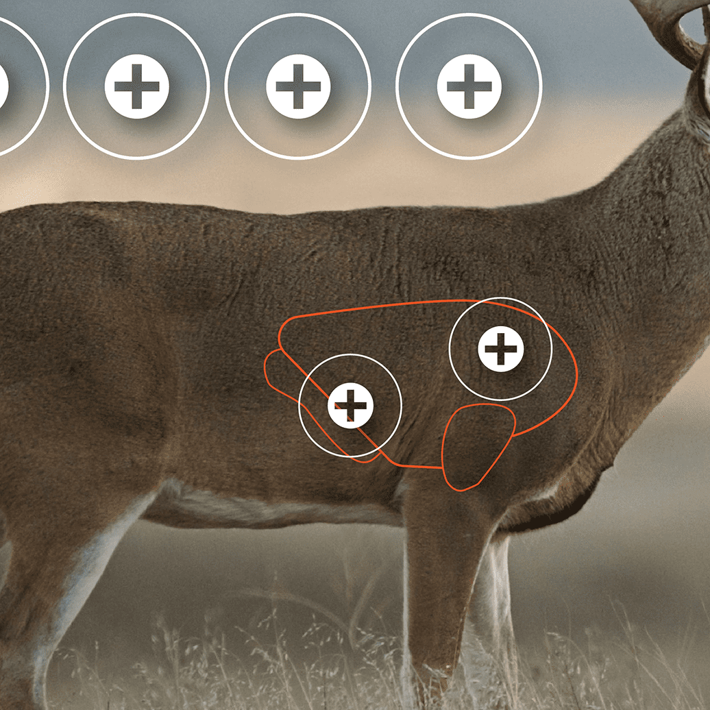 Ez Aim Paper Shooting Targets, 4-Color 35 In x 23 In Whitetail Targets, 2-Pack