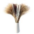 thumbnail image 1 of CreativeArrowy Tall Pampas Grass Fluffy Artificial Stems Dried Reed Flowers Bouquet Home Wedding Decoration Multicolor Floating Dust, 1 of 11