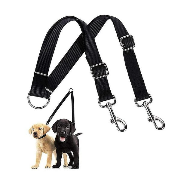 Training leashes for dogs cheap walking