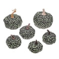 thumbnail image 1 of Adornos colgantes de calabaza Allinless 6 piezas para decoración de Halloween, 1 of 3