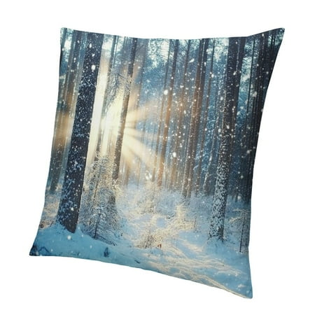 

Wuche Sunbeam Snow Short Plush Pillowcase One-Piece Pillow Case Winter for Car Couch Bedroom 1PC 24x24in