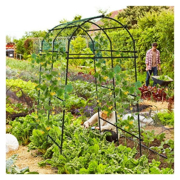 7.5ft Garden Arch Trellis - PE Coated Metal Plant Climber - Black Arbor for Grapes, Cucumbers, Vine Flowers - Heavy Duty, Rust-Resistant, Outdoor Wedding Arch