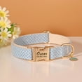 thumbnail image 3 of Didog Glitter Nylon Personalized Dog Collar with Engraved ID Tag Name Plate and Phone Numbe, 3 of 8