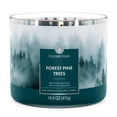 thumbnail image 1 of Vela aromática Goose Creek Forest Pine 14.5 oz, 1 of 4