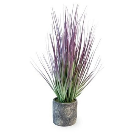 Purple Grass Cement Pot