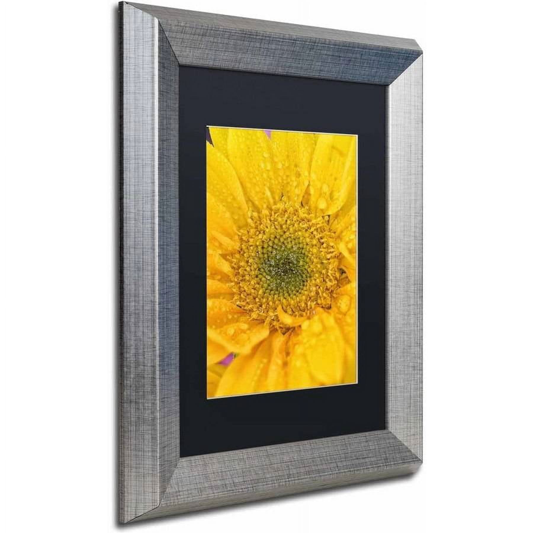 Trademark Fine Art 'Joyful Color' Canvas Art by PIPA Fine Art, Black Matte, Silver Frame