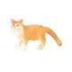 thumbnail image 3 of Juguetes de simulación BLESIY modelo de animales realistas de gato pequeño Amarillo, 3 of 8