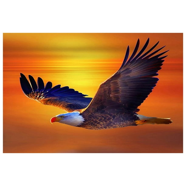 Cuadros Decorativos 5D bricolaje completo taladro diamante pintura vuelo águila punto de cruz bordado Kit Wdftyju embutido en tela