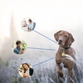 thumbnail image 4 of Greeniant Mascota para rastreador nunca vuelva a perder de vista a su amigo peludo Etiquetas de localización de perros para rastreador Suministros para perros, 4 of 6