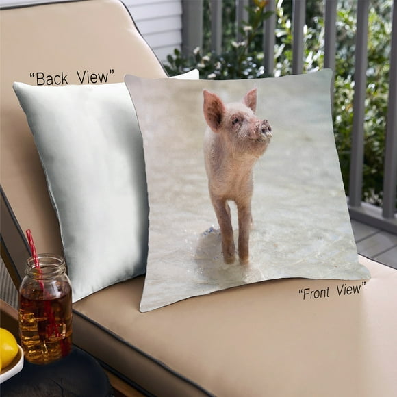 Ahgly Company Animals Pig Outdoor Throw Pillow, 18 inch by 18 inch