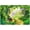 12'x8', variant on Fabric 8x6ft St. Patrick's Day Photography Backdrop Spring Forest Rainbow Shamrock Gold Coins Background Festival Party Decorations Banner Photo Booth