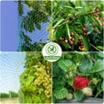 thumbnail image 7 of Green Bird Nets Protect Plants Fruits Vegetables Flowers Plants Trees Fences Ponds Durable Nets Prevent Birds Deer and Animals, 7 of 7