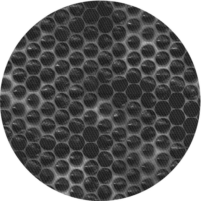 Ahgly Company Tapis Rond Lavable en Machine Intérieur Transitionnel Gris Cendré, 3 Pieds Rond