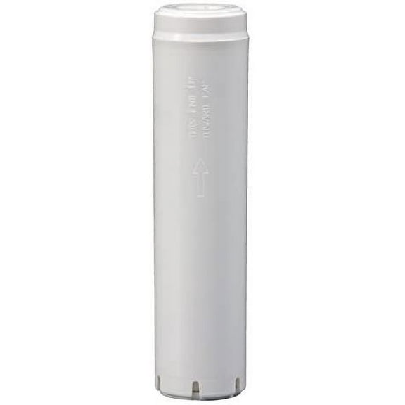 Carbon Filter Cartridge, 9-3/4In, Mic