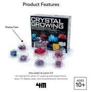 4M Crystal Growing Science Model Kit with 7 Experiments