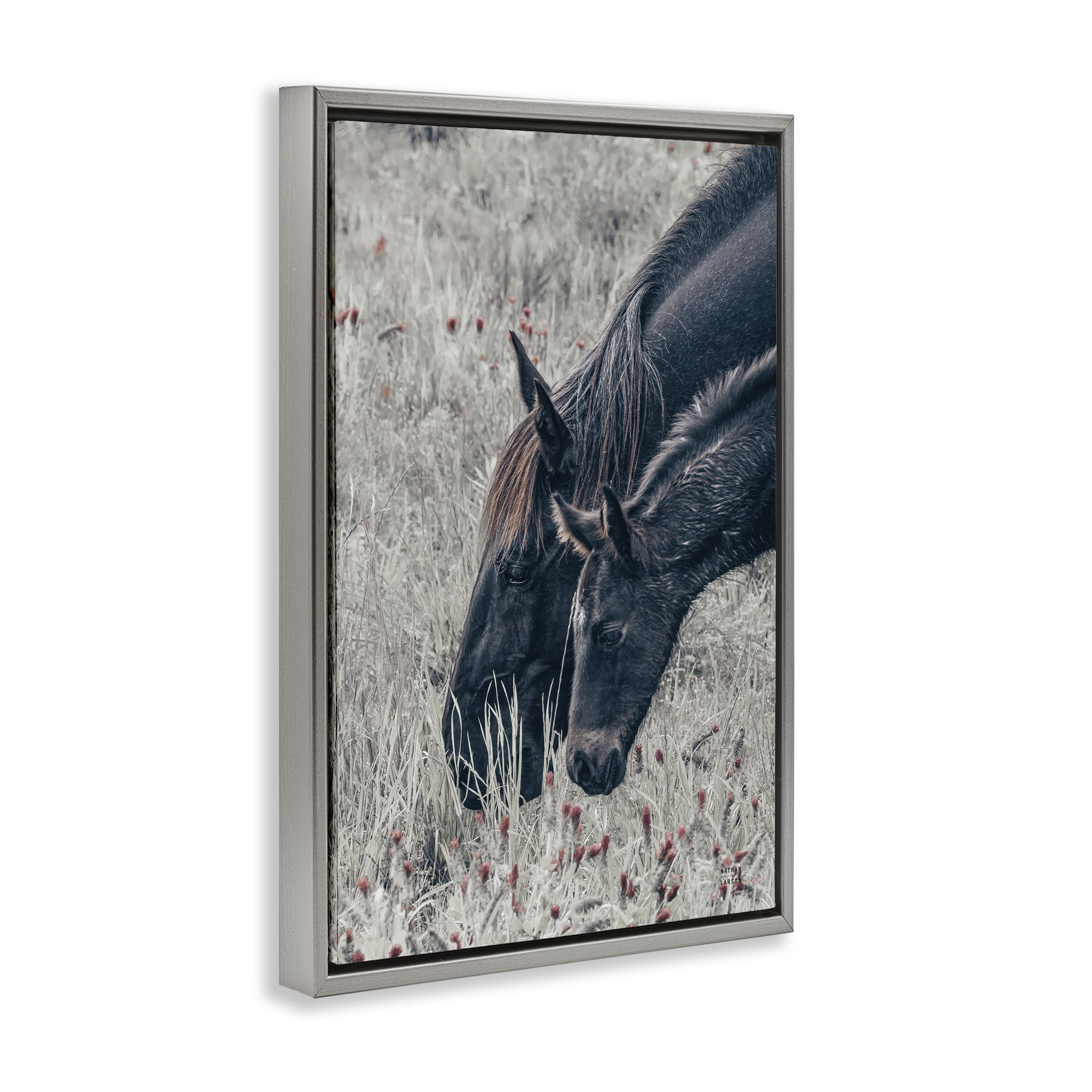 Stupell Industries New Graze Horses in Meadow Gray Framed Floater Canvas Wall Art, design by Nathan Larson
