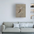 thumbnail image 2 of Trademark Fine Art Donald Luo Short Eared Owl Canvas Wall Art, 2 of 4