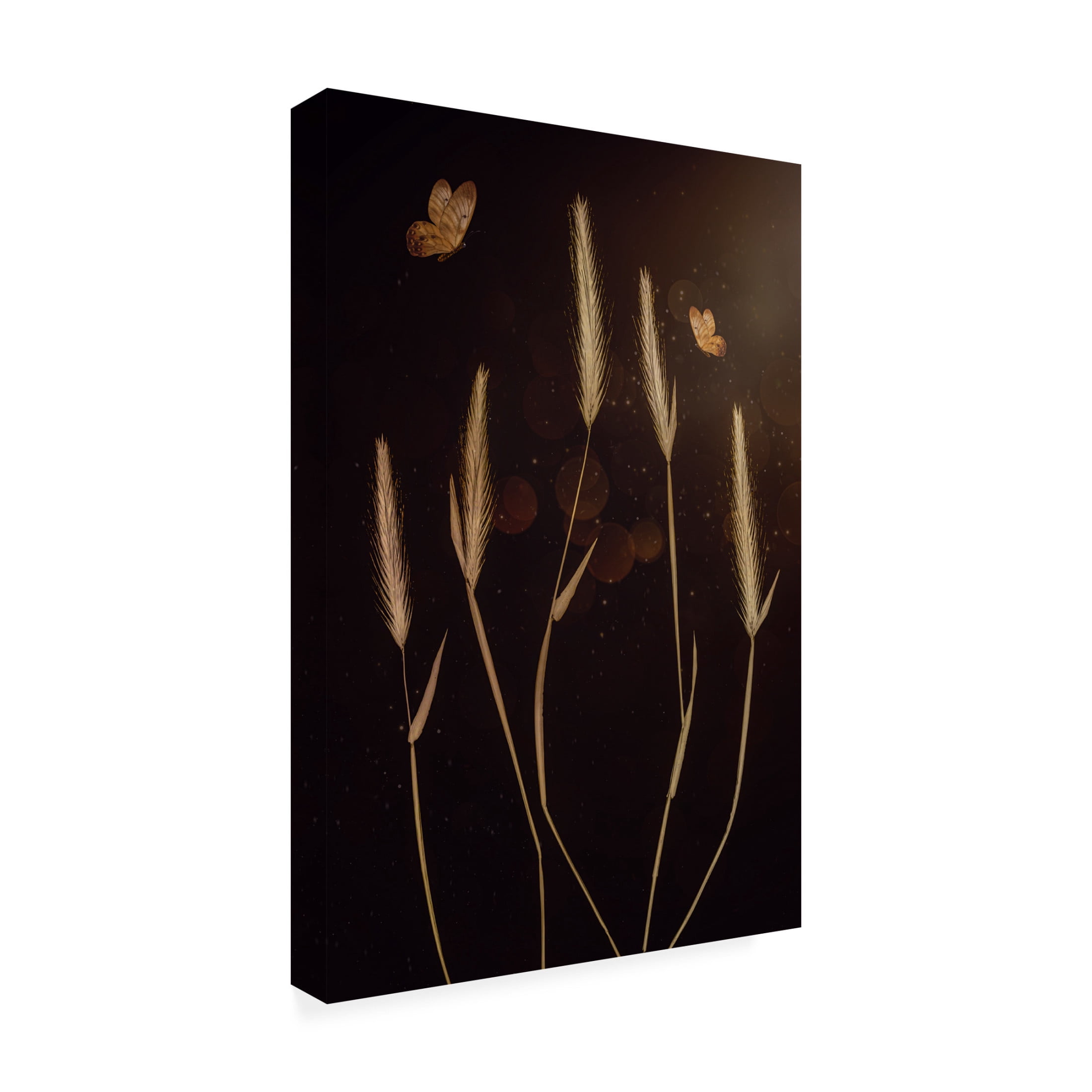 Canvas Wall Art - Cicek Kiral 'When It Is Dark' Wall Art for Living Room, Bedroom, or Office Décor by Trademark Fine Art - 16 x 24 Inches