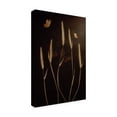 thumbnail image 4 of Canvas Wall Art - Cicek Kiral 'When It Is Dark' Wall Art for Living Room, Bedroom, or Office Décor by Trademark Fine Art - 22 x 32 Inches, 4 of 4