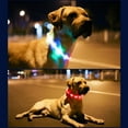 thumbnail image 6 of Topumt LED Dog Collar, USB Rechargeable Glowing Lighted Up Collar, Cuttable Water-Resistant Safety Collar Lights for Small Medium Large Dogs, 6 of 6