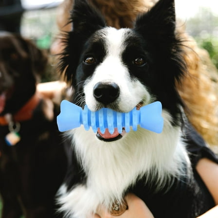 LULULION Dog Toy Aggressive Chewer TPR Sky Blue 1Pack for Daily Fun