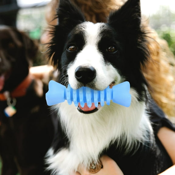 LULULION Dog Toy Aggressive Chewer TPR Sky Blue 1Pack for Daily Fun