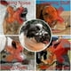 thumbnail image 4 of Dog Basket Muzzles, Upgraded Soft Breathable Cage Muzzle For Small Medium Large Dogs, 4 of 5