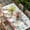 Ivory, variant on Easter Table Cloths for 3 Foot Rectangle Tables, Spring Watercolor Bunny Eggs Flower Leaf Beige Patio Waterproof Elastic Fitted Tablecloths, Washable Rectangular Table Cover for Camping