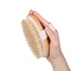 thumbnail image 3 of Cepillo exfoliante seco de cerdas naturales, cepillo facial, cepillo corporal, 3 of 3