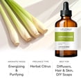 thumbnail image 2 of Lemongrass Essential Oil by Velona - 16 oz | Therapeutic Grade for Aromatherapy Diffuser Undiluted, 2 of 5