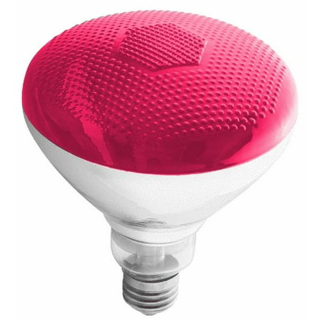 Westinghouse Br38 Colored Floodlight Light Bulb