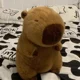 thumbnail image 4 of Capybara Plush Simulation Capibara Anime Fluffty Toy Kawaii Plushie Cute Doll Stuffed Animals Soft Doll Plush Gift Kid Toys, 4 of 4