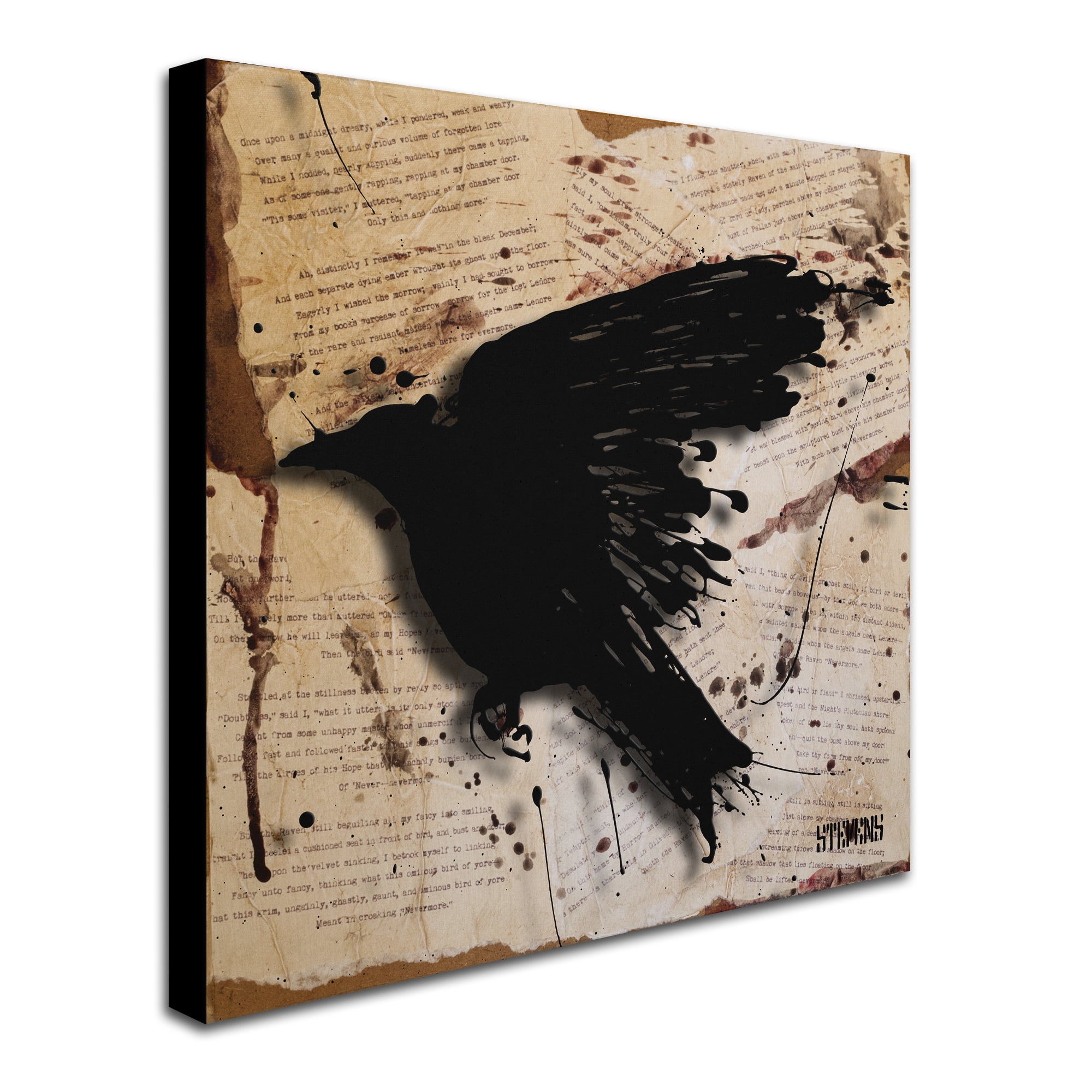 Trademark Fine Art Roderick Stevens 'The Raven 3' 35 x 35 (RS1013-C3535GG)