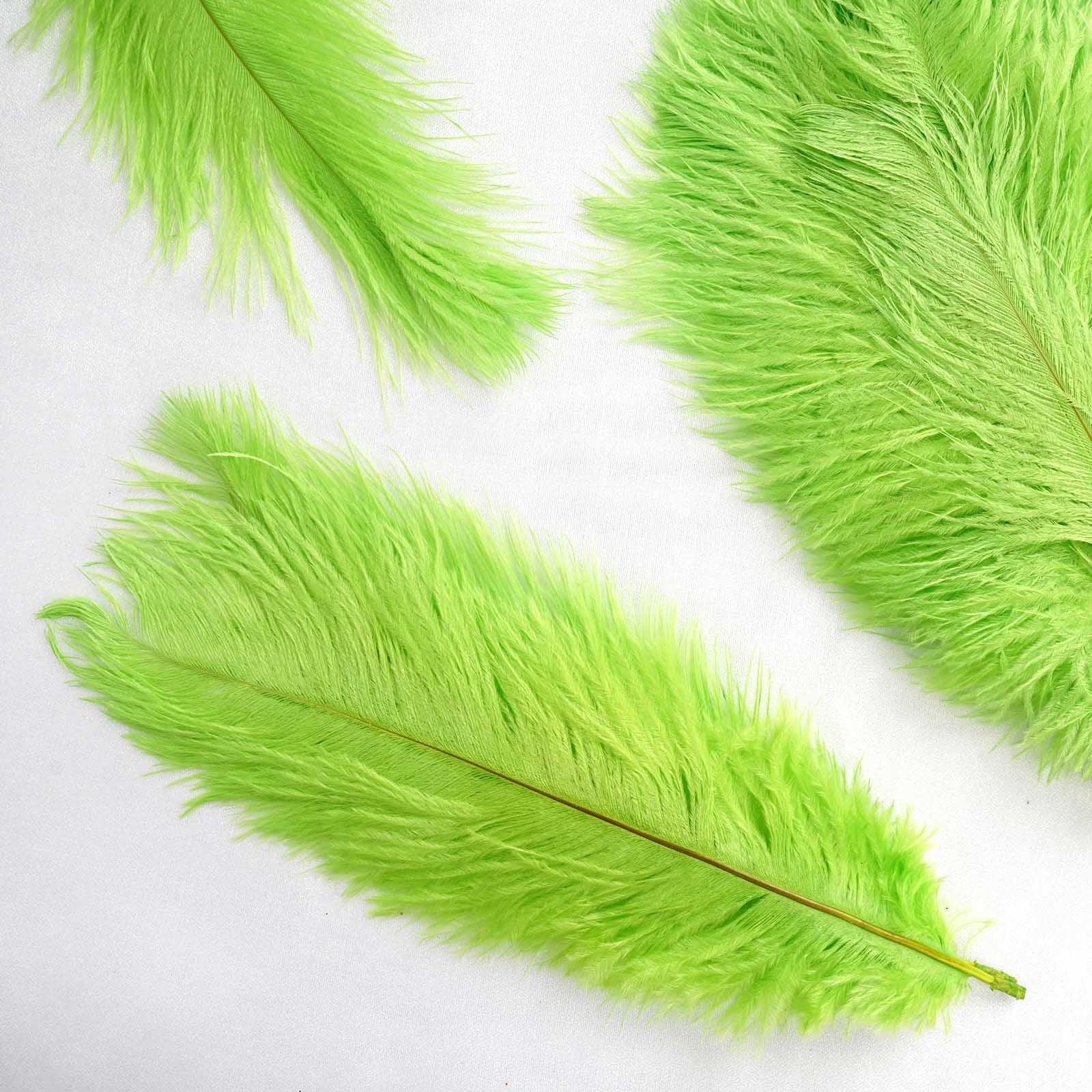 tall decorative feathers