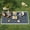 Blue#6, variant on Patio Furniture Sets Outsunny Reversible Outdoor Rug Carpet, 9' x 18' Waterproof Plastic Straw Rug, Portable RV Camping Rugs with Carry Bag, Large Floor Mat for Backyard, Deck, Picnic, Beach, Blue &