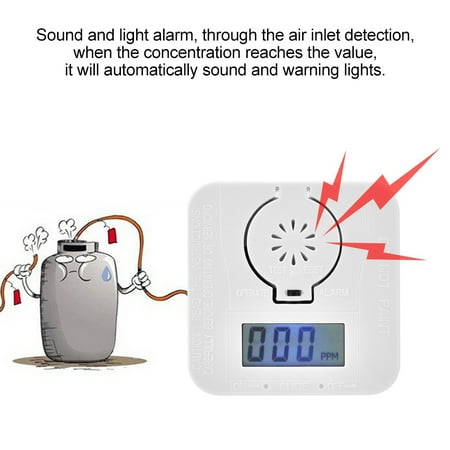 Rdeghly CO Carbon Monoxide Detector Poison Gas Sensor Home ...