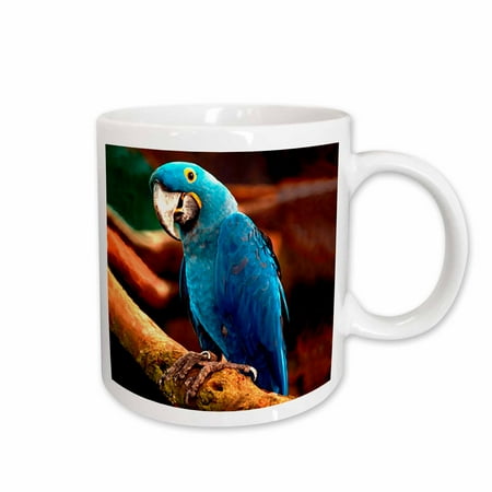 

3dRose Hyacinth Macaw Ceramic Mug 11-ounce