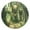 Gold, variant on House in Forest Round Wall Clock Battery Operated Silent Non-Ticking Bedroom Office Kitchen Home School Decor 10"(Gold)