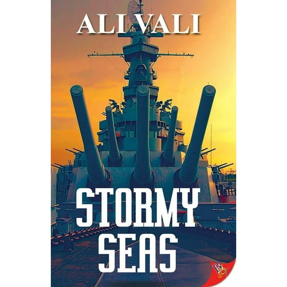 Stormy Seas, (Paperback)