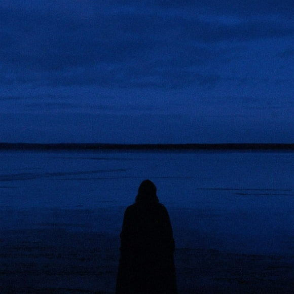 ALBUM BLEU (LP)