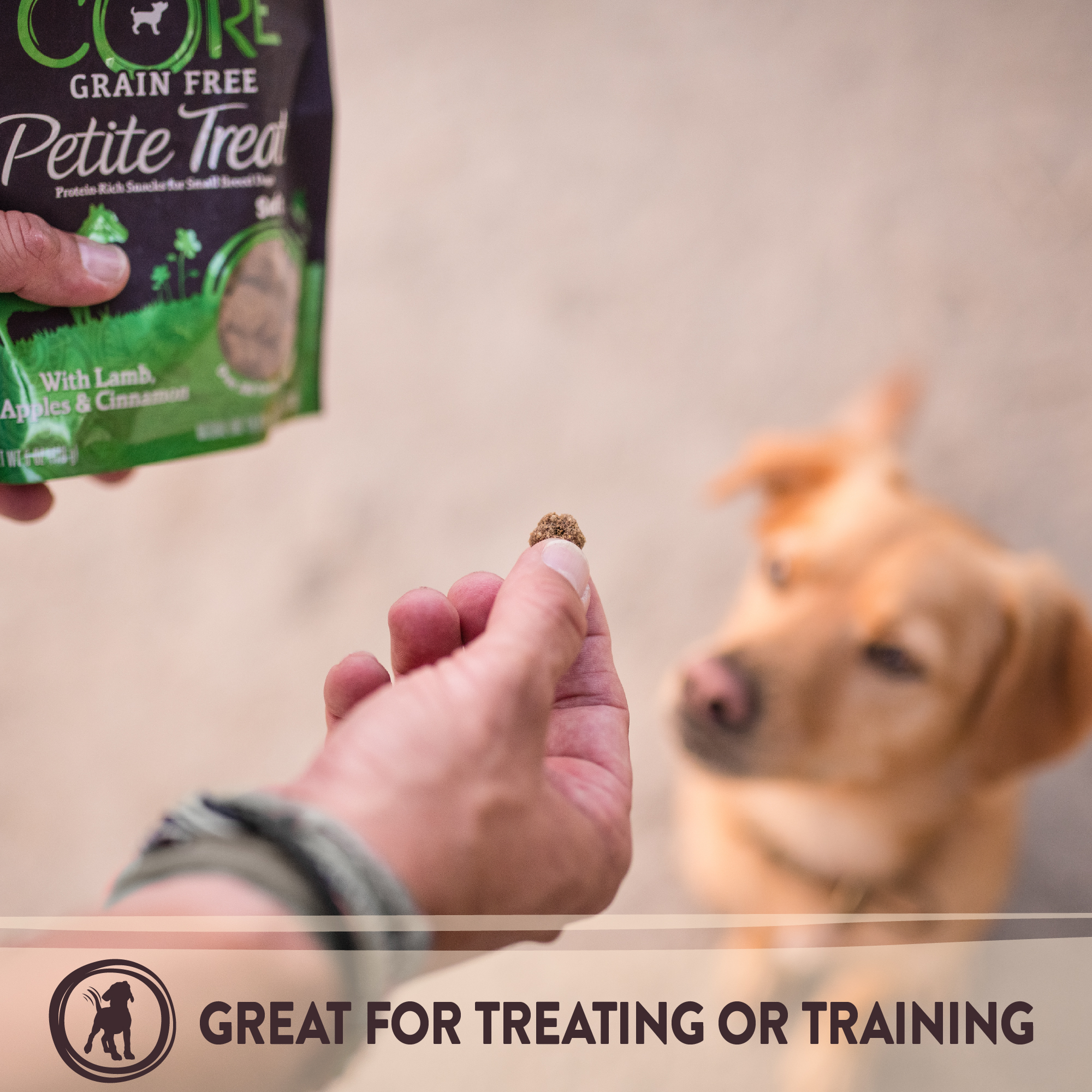 Wellness Petite Treats Natural Grain Free Small Breed Soft Dog Treats, Turkey & Pomegranate, 6-Ounce Bag - image 3 of 6