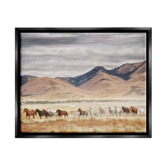 Stupell Industries Southwestern Wild Horses Roaming Across Western Landscape Black Floating Frame Canvas Art, 21 x 17, by PH Burchett