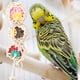 thumbnail image 4 of Loro de plástico Para Mascotas Paja Trapado Sepapaktakraw Cuerda Masticar Morder Colgando Columpio Juguete Jaula Pájaro Accesorios, 4 of 8