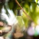 thumbnail image 2 of Uonlytech 2pcs Solar Powered Plastic Bulb Led Copper Wire Lights Outdoor Hanging Lamp Bulb For Garden Patio Yard (Transparent, Warm White), 2 of 2