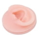 thumbnail image 3 of Modelo de oreja de silicona suave profesional Muestra de oreja falsa Modelo de práctica de acupuntura de oreja Oreja derecha, 3 of 10