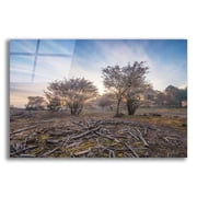 Epic Art Spring Bushes at Sunrise by Martin Podt, Acrylic Glass Wall Art, 24"x16"