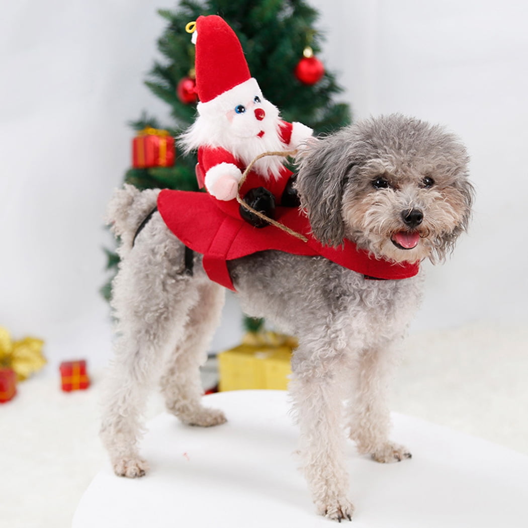 Dog snowman outfit hotsell