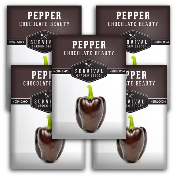 5 packs Chocolate Beauty Pepper - Non-GMO Heirloom Full Sun Annual Vegetable
